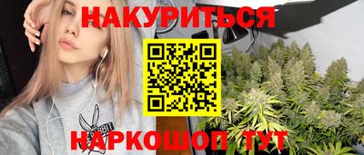 крисы Бийск