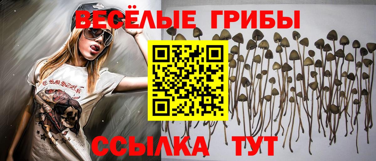 Псилоцибиновые грибы MAGIC MUSHROOMS Кимры