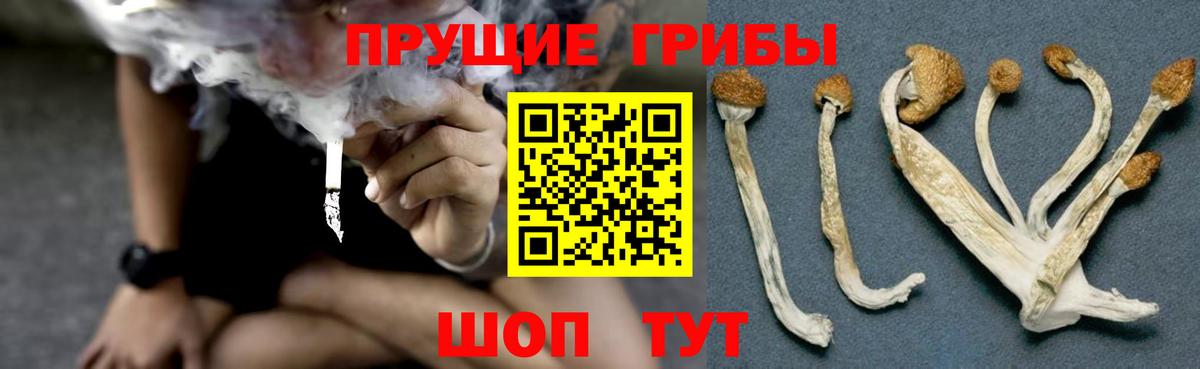 Псилоцибиновые грибы ЛСД  Псилоцибиновые грибы MAGIC MUSHROOMS  Кимры  Вход с VPN 