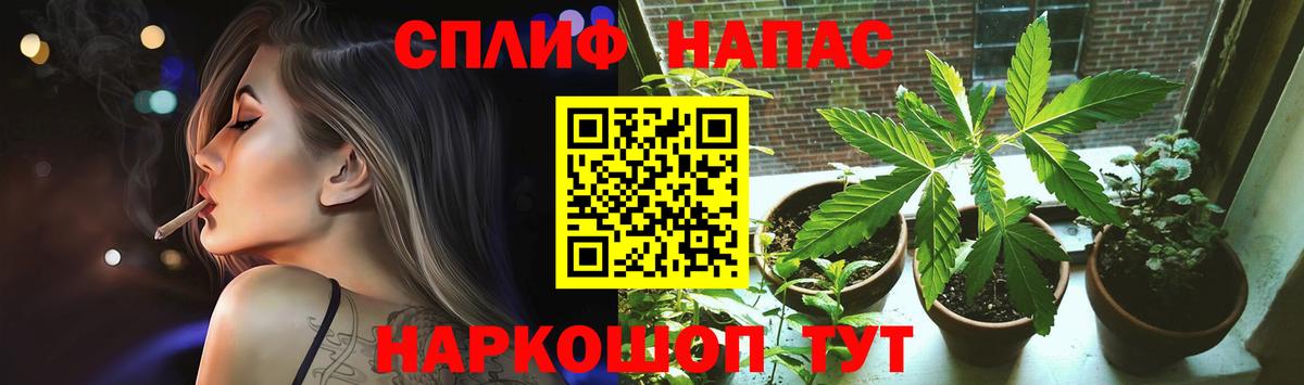 Бошки марихуана MAZAR  Вход с VPN  Кимры  Конопля MAZAR 
